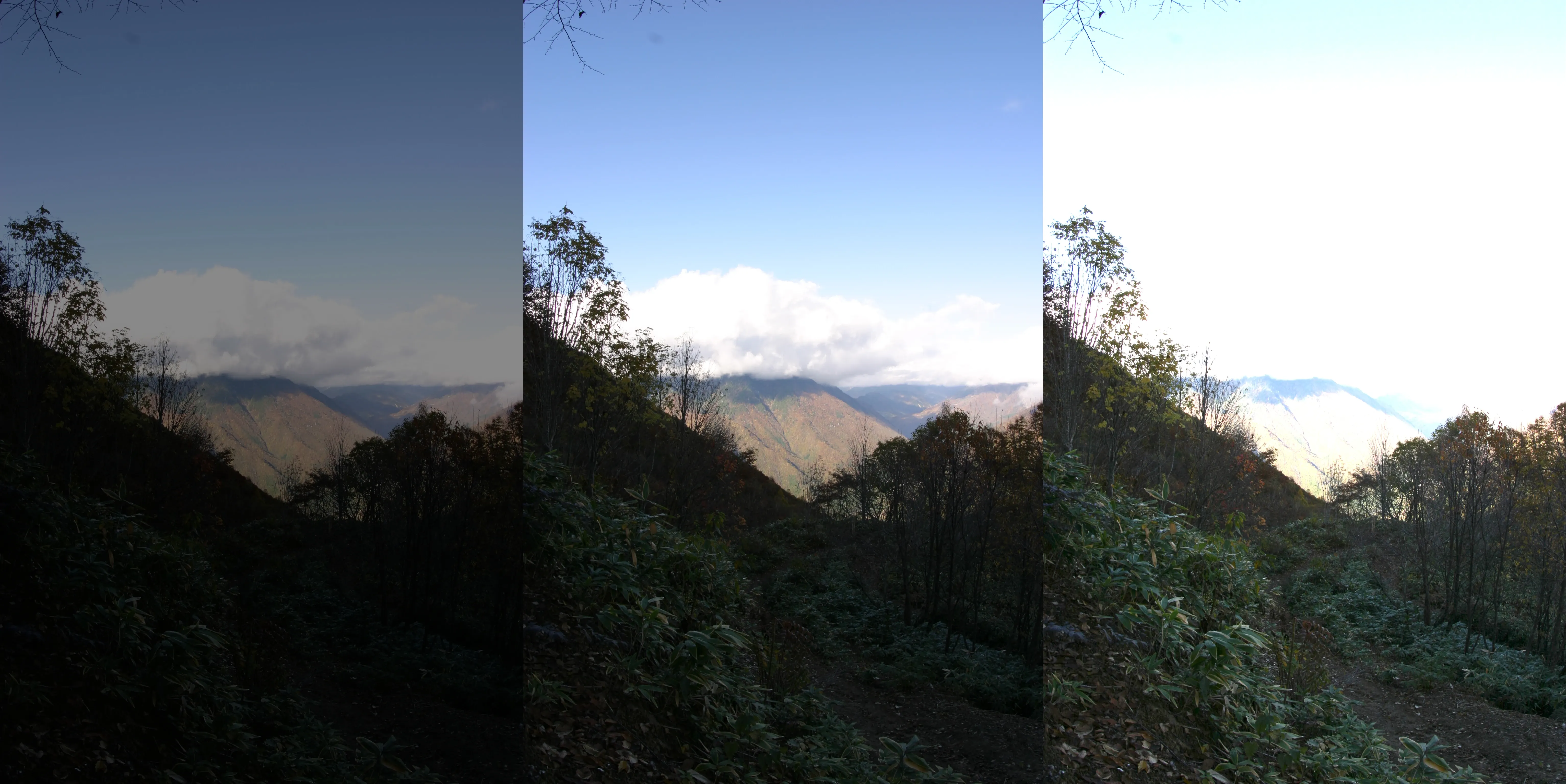 The three input images, each with its level of exposure