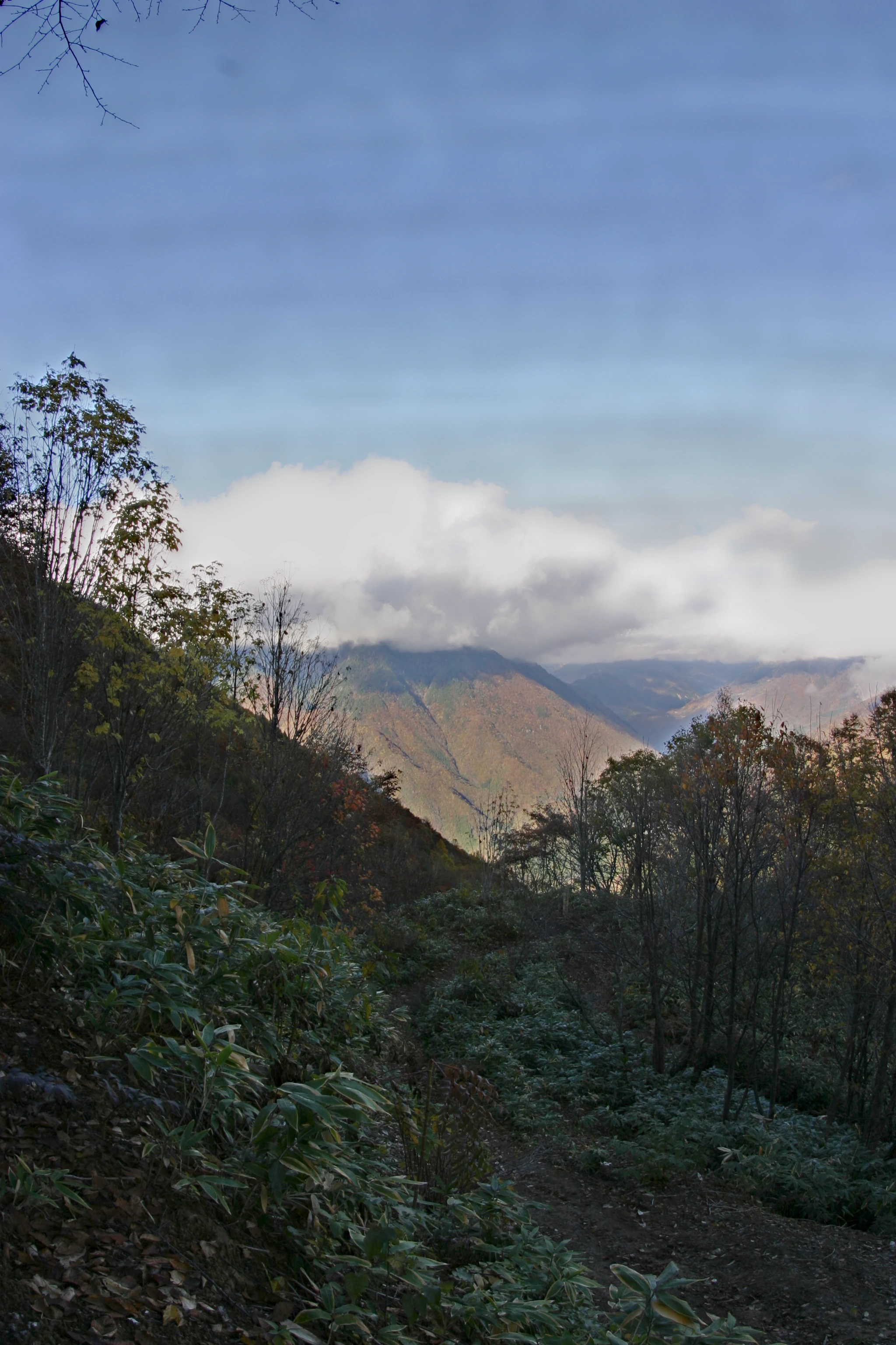 The generated exposure fusion HDR image